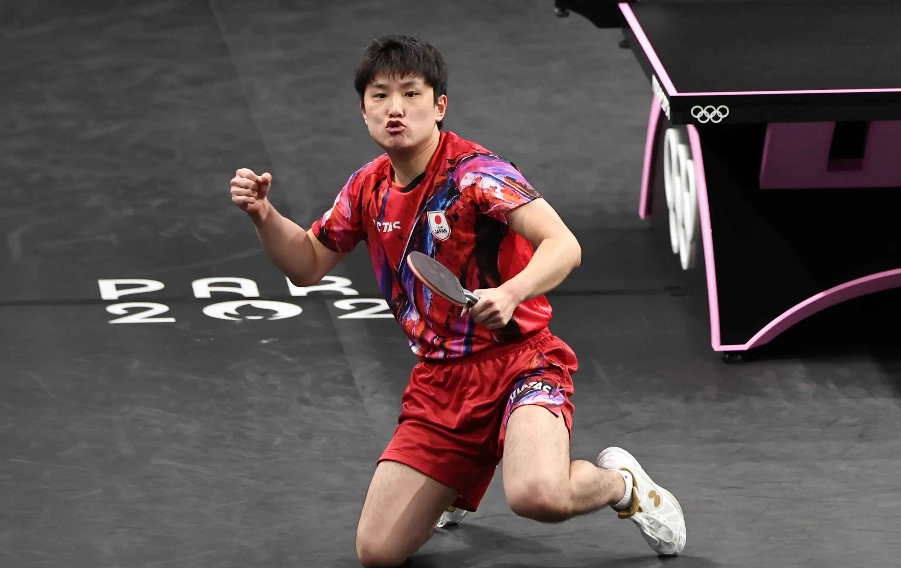 包含瑞典队轻取中国队,张本智和点燃赛场的词条 包含瑞典队轻取中国队,张本智和点燃赛场的词条