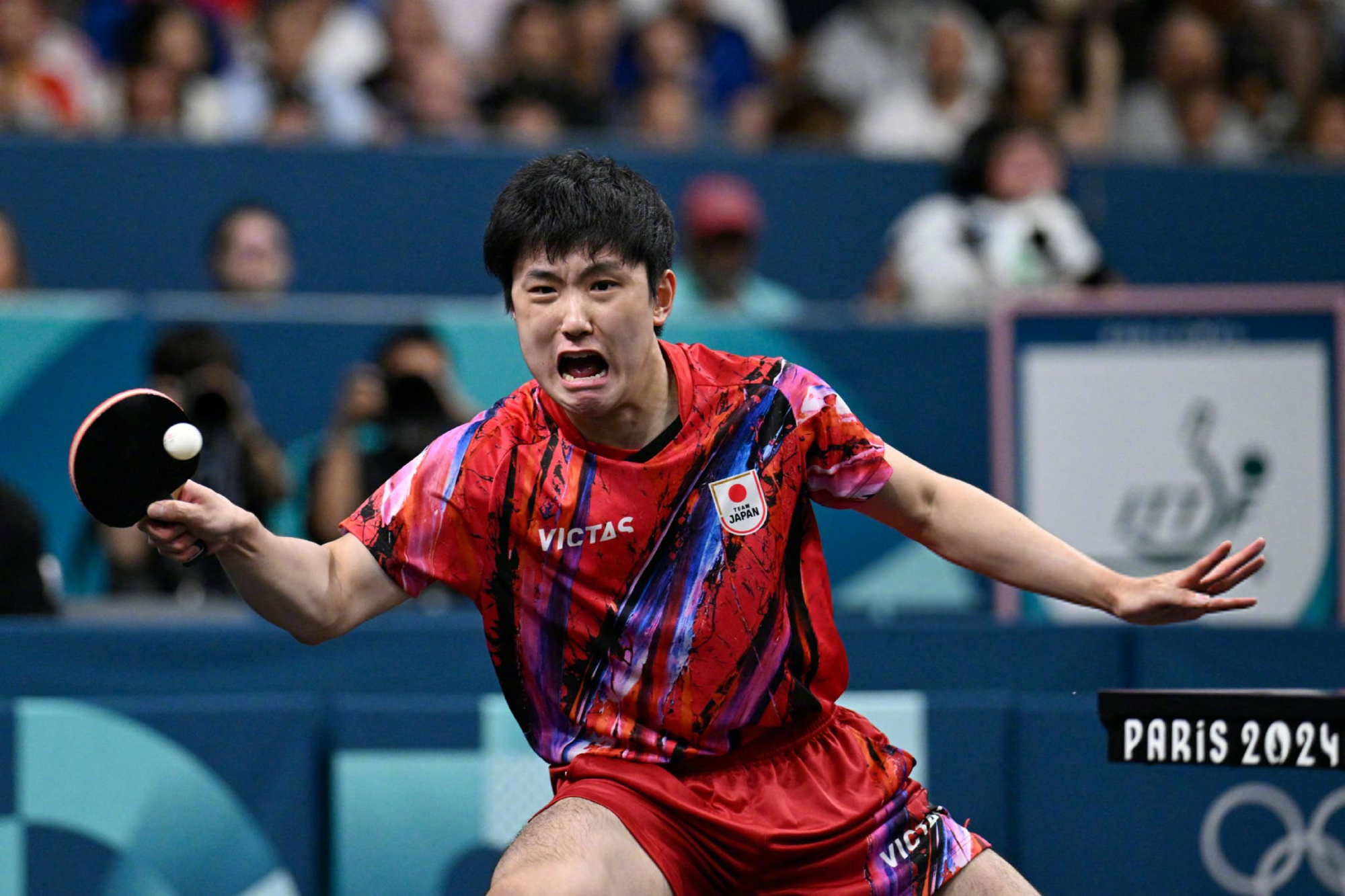 包含瑞典队轻取中国队,张本智和点燃赛场的词条 包含瑞典队轻取中国队,张本智和点燃赛场的词条