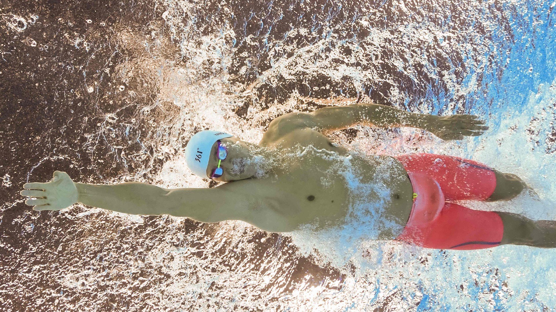 武切维奇独舞东南,公牛铁蹄横扫福建显统治力